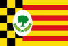 Flag of Alcampell/El Campell