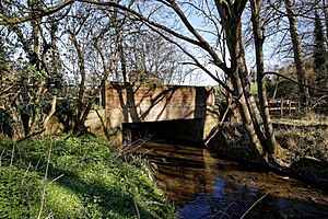 Bridge over Pincey Brook on Matching Road, Hatfield Heath, Essex, England 01