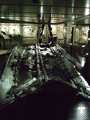 Bronze Age Boat - Dover Museum. (5106968203)