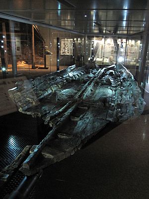 Bronze age boat (3752754931)