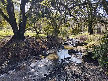 Cañada Garcia Creek Jan 2021.jpg
