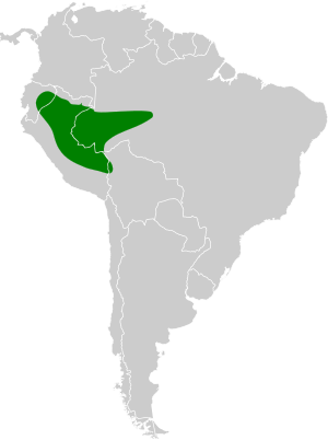 Conopophaga peruviana map.svg