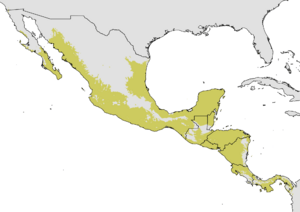 Crescentia alata - range map - no observation data.png