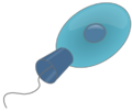 Cronoflagelado2