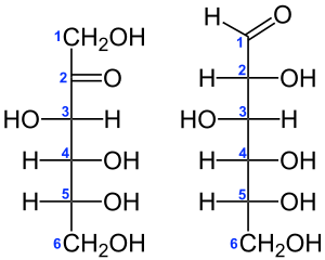 D-Fructose vs. D-Glucose Structural Formulae V.1