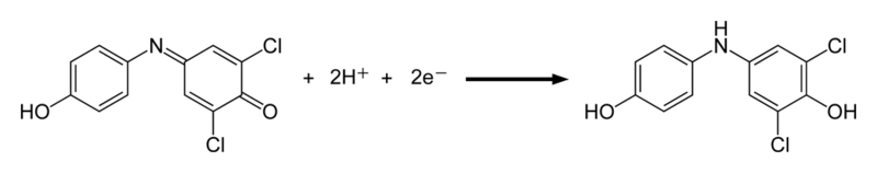 DCPIP-reduction-2D-skeletal