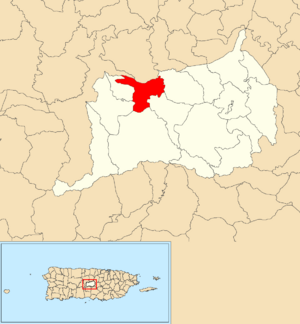 Location of Damián Abajo within the municipality of Orocovis shown in red