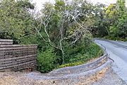 Easton Creek going under Canyon Road