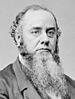 Edwin McMasters Stanton Secretary of War (3x4 cropped).jpg