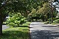 Example of Scottholm, Syracuse's Tree-Lined Streets