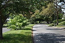 Example of Scottholm, Syracuse's Tree-Lined Streets