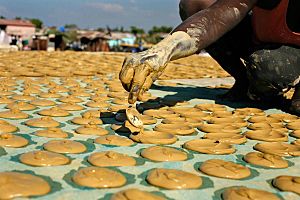 Haitian Dirt Biscuits