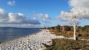 Harvey Estuary from Herron Point, February 2020 01