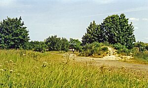 Haverhill station site geograph-3619342-by-Ben-Brooksbank