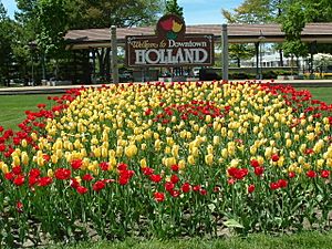 Holland MI Tulips 01