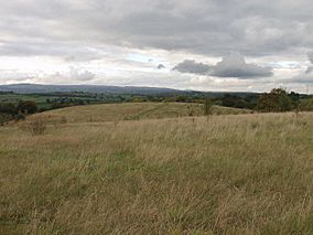 Ifton Meadows covered by Ifton Colliery bing - geograph.org.uk - 68898.jpg