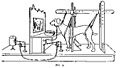 Ivan Pavlov research on dog's reflex setup