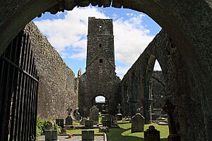 Kilcrea Friary (2) - geograph.org.uk - 1392092