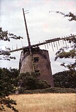 Llynnon Mill (pre restoration)