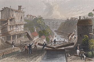 Lockport bartlett color