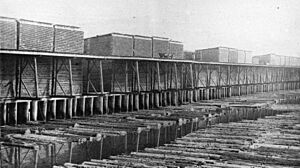 Lumber Docks A.W. Wright 1888