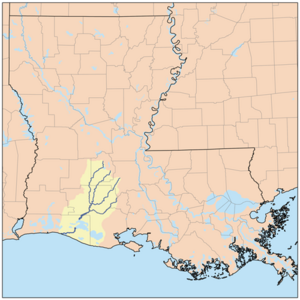 Mermentaurivermap