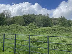 Morganstown Castle Mound 3