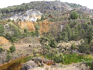 Mount Bischoff mine