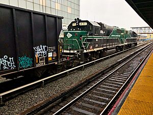 New York and Atlantic Train at Jamaica LIRR station 1