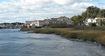 Oyster Point, New Haven6.jpg