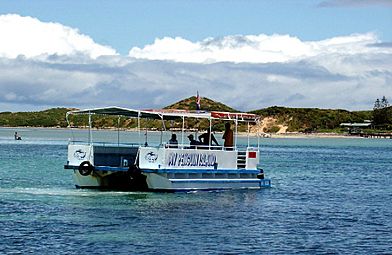 Penguin Island ferry