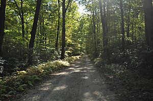PomfretCT MashamoquetBrookStatePark Roadway