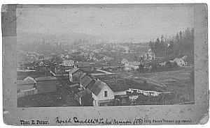 Residential area near Lake Union, Seattle, 1883 (PEISER 32)