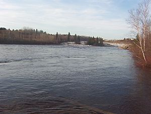 Rivière bordant l'Île Talbot (Dolbeau-Mistassini, Québec)