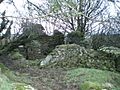Ruins on the south side of Foel Dyrch - geograph.org.uk - 1026506.jpg