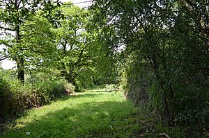 Ruislip Local Nature Reserve 1