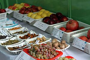 Samples of Afghan fresh and dried fruits