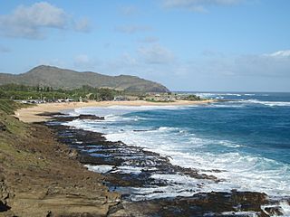 Sandybeach blowholeside