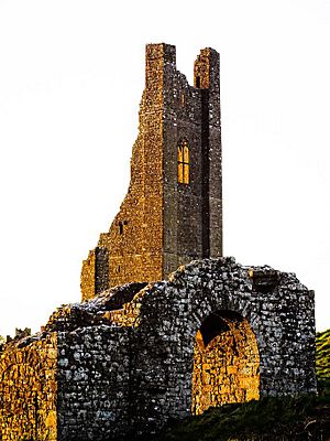 Sheeps Gate and Yellow Steeple at Trim Castle