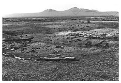 Looking south at the site of the former Terrance Roundhouse, with Terrace Mountain in the distance, c1980 photograph