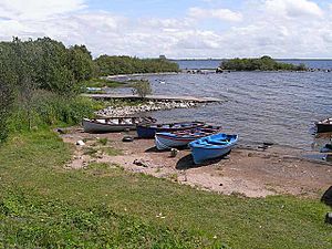 Small bay on Lough Mask - geograph.org.uk - 1405152
