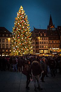 Strasbourg capitale de Noël grand sapin 2014 02