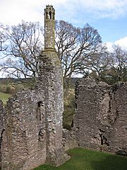 Tall, elegant 14th century chimney, Grosmont Castle - geograph.org.uk - 1192870