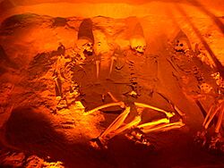 Teotihuacán - Menschenopfer 2