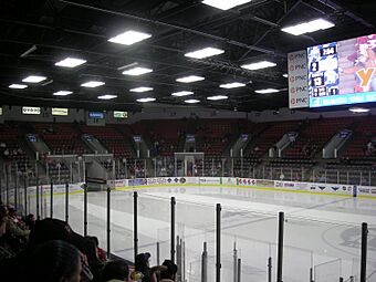 Toledo Walleye vs. Kalamazoo Wings January 2014 23.jpg