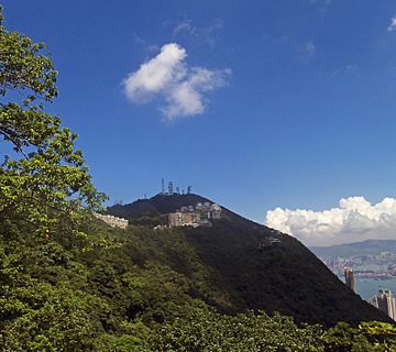 A wooded mountain with tall antennas around its summit and medium-height buildings below it. There is a tree on the left of the image. On the right, the mountain slopes down to an area next to water with some taller buildings.