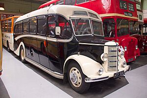 Warburton's bus (HTF 586)