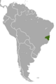White-headed Marmoset area