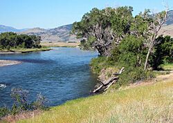 Yellowstone River, flowing through Paradise Valley
