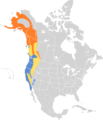 Zonotrichia atricapilla map
